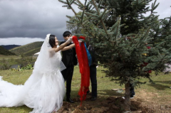 谢娜的婚纱  太阳女神的奢华婚纱