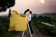 适合表白的歌曲 求婚歌曲推荐